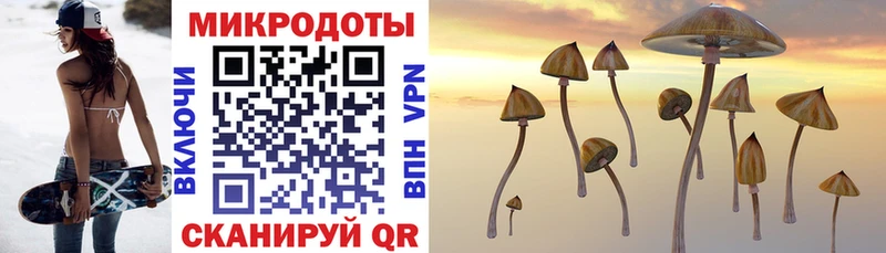 Галлюциногенные грибы Magic Shrooms  магазин    Павлово 